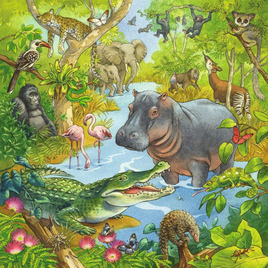 Jungle Fun 3 x 49 Piece Jigsaw Puzzle by Ravensburger - 4