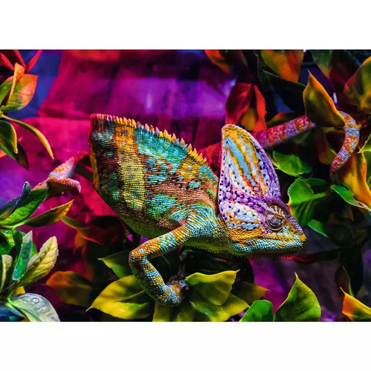 Chameleon 500 Piece Jigsaw Puzzle by Ravensburger - 2