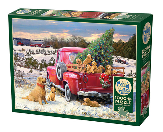 Family Outing 1000 Piece Jigsaw Puzzle by Cobble Hill - 1