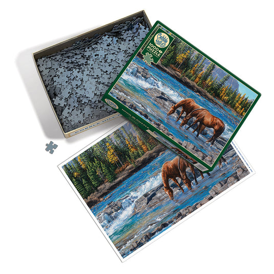 On the Rocks 1000 Piece Jigsaw Puzzle by Cobble Hill - 2