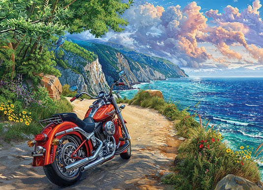 Arrived 500 Piece Jigsaw Puzzle by Cobble Hill - 2