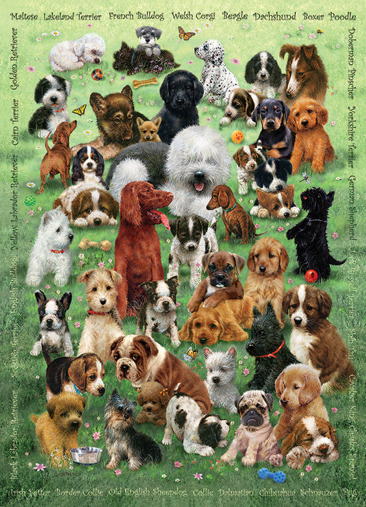 Puppy Love 350 (Family) Piece Jigsaw Puzzle by Cobble Hill - 2