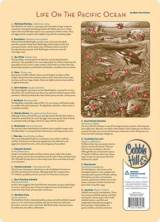 Life on the Pacific Ocean 35 Piece Tray Jigsaw Puzzle by Cobble Hill - 2