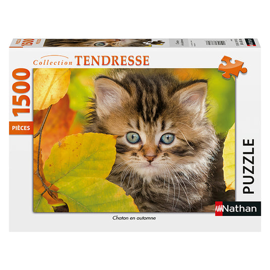 Kitten in Autumn 1500 Piece Jigsaw Puzzle by Nathan - 1