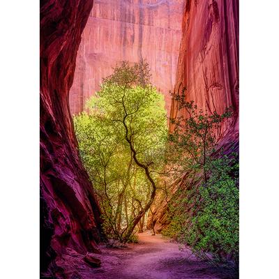 Power of Nature: Singing Canyon 1000 Piece Jigsaw Puzzle by Heye - 2