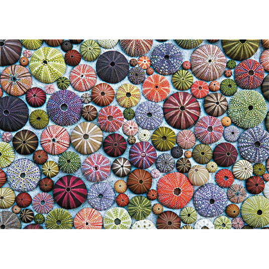 Sea Urchins 1000 Piece Jigsaw Puzzle by Piatnik - 2