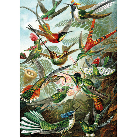 Hummingbirds 1000 Piece Jigsaw Puzzle by Piatnik - 2
