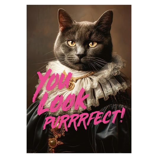 You Look Purrrfect! 1000 Piece Jigsaw Puzzle by Piatnik - 2