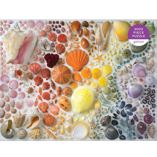 Rainbow Seashells 2000 Piece Puzzle by Galison - 4