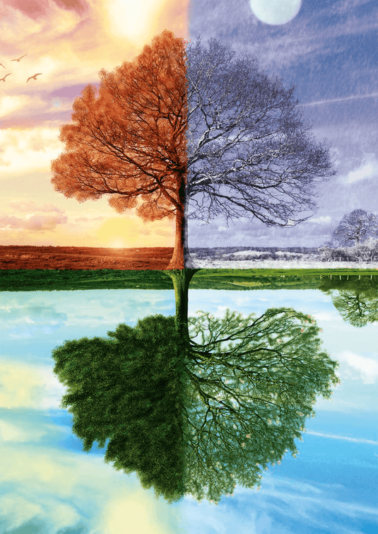 The Tree Of The 4 Seasons 500 Piece Jigsaw Puzzle by Schmidt Puzzle - 5