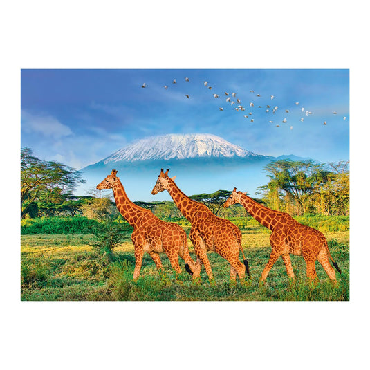 Giraffes 500 Piece Jigsaw Puzzle by Sentosphere - 3