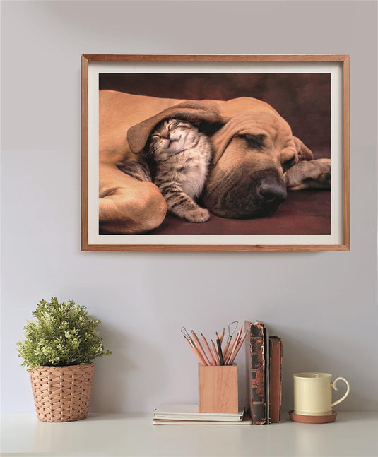 Cuddles 500 Piece Jigsaw Puzzle by Clementoni Puzzles - 4