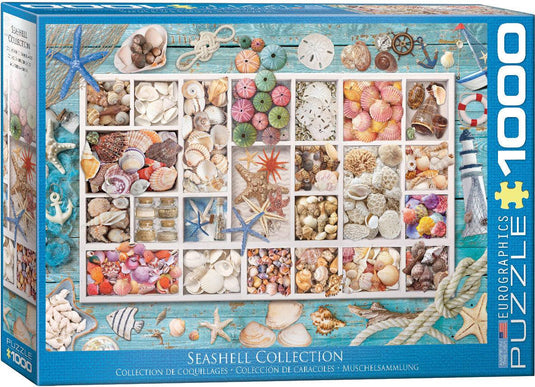 Seashell Collection 1000 Piece Jigsaw Puzzle by Eurographics - 1