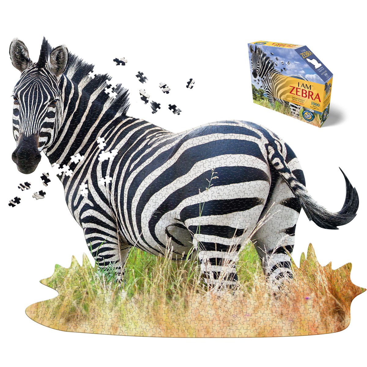 I Am Zebra 1000 Piece Puzzle by Madd Capp