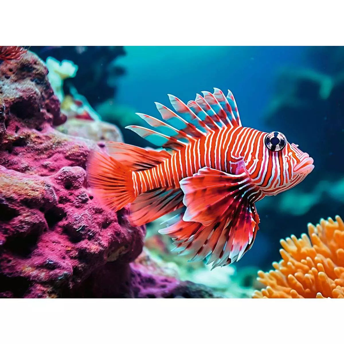 Red Lionfish 500 Piece Jigsaw Puzzle by Ravensburger
