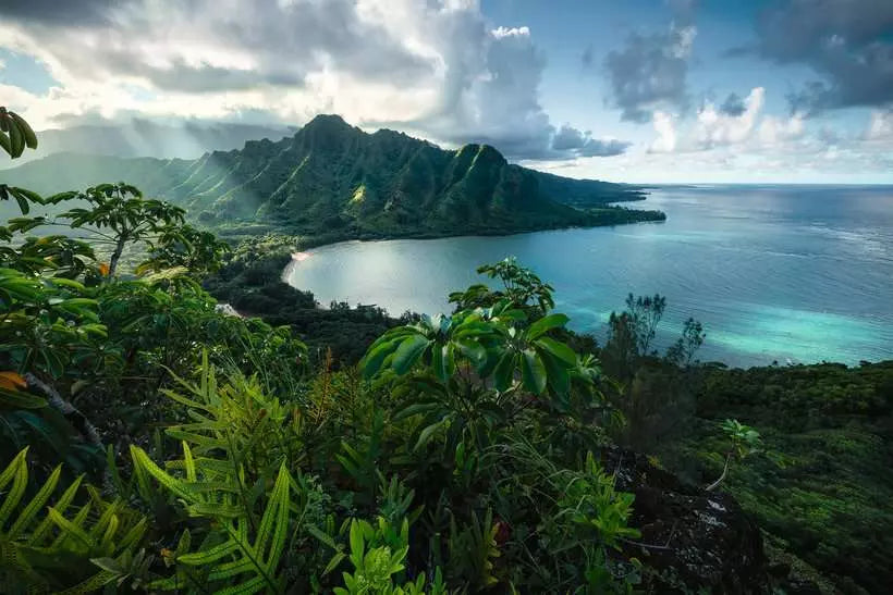 Hawaiian Viewpoint 5000 Piece Jigsaw Puzzle by Ravensburger