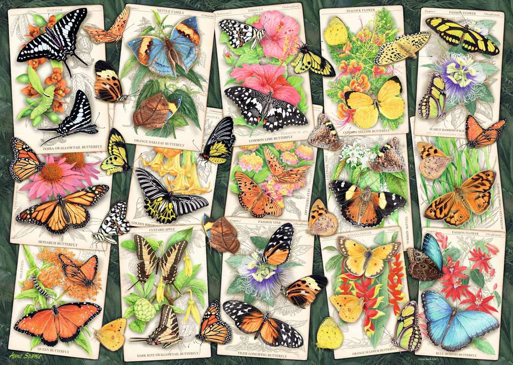 Tropical Butterflies 1000 Piece Jigsaw Puzzle by Ravensburger