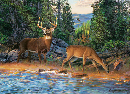 The River's Edge 1000 Piece Jigsaw Puzzle by Cobble Hill - 2