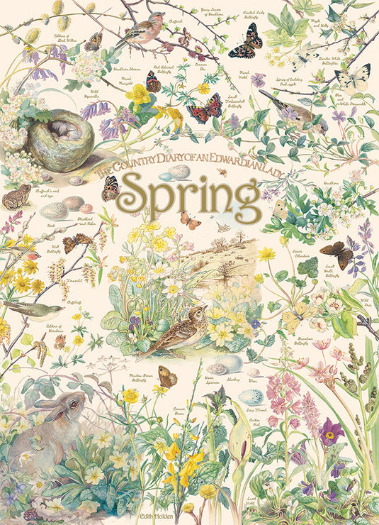 Country Diary: Spring 1000 Piece Jigsaw Puzzle by Cobble Hill - 2