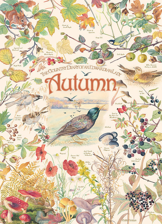 Country Diary: Autumn 1000 Piece Jigsaw Puzzle by Cobble Hill - 2