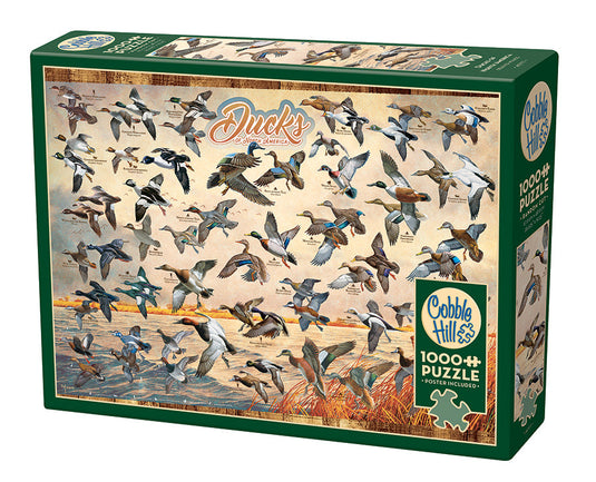 Ducks of North America 1000 Piece Jigsaw Puzzle by Cobble Hill - 1