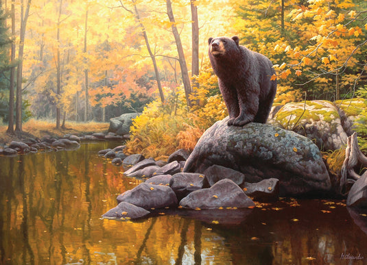 Black Bear Pond 1000 Piece Jigsaw Puzzle by Cobble Hill
