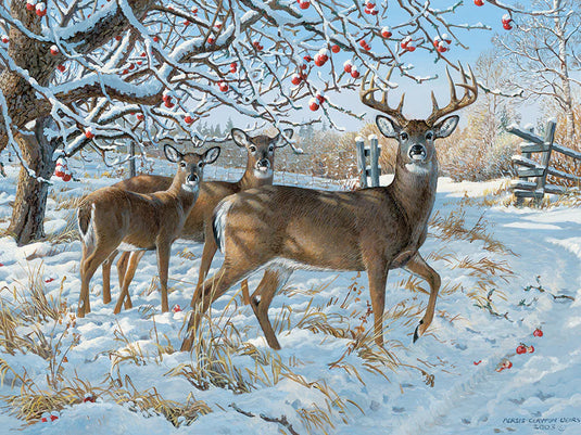 Winter Deer 500 Piece Jigsaw Puzzle by Cobble Hill