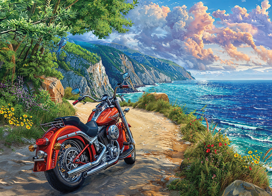 Arrived 500 Piece Jigsaw Puzzle by Cobble Hill