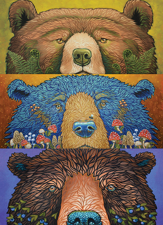 Bear Eyes: Harvest 500 Piece Jigsaw Puzzle by Cobble Hill - 2