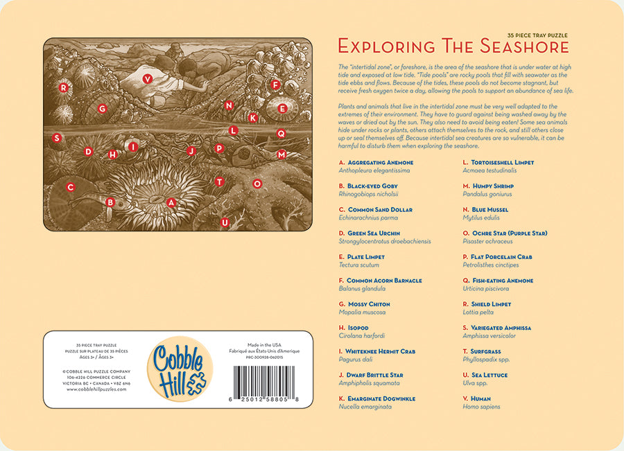 Exploring the Seashore 35 Piece Tray Jigsaw Puzzle by Cobble Hill