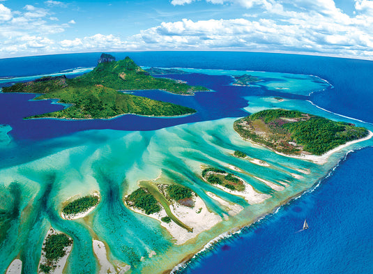 Coral Reef 1000 Piece Jigsaw Puzzle by Eurographics - 2