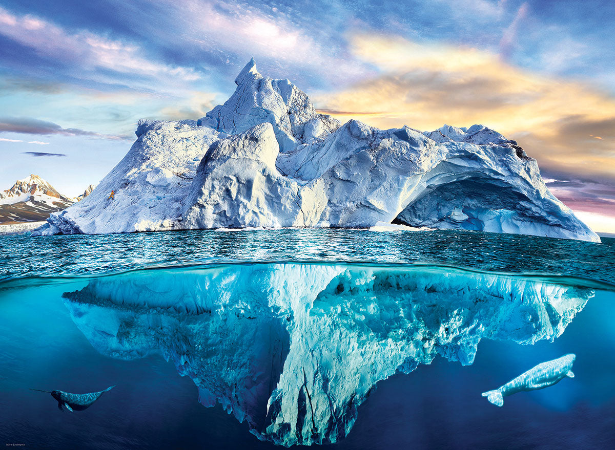 Arctic 1000 Piece Jigsaw Puzzle by Eurographics