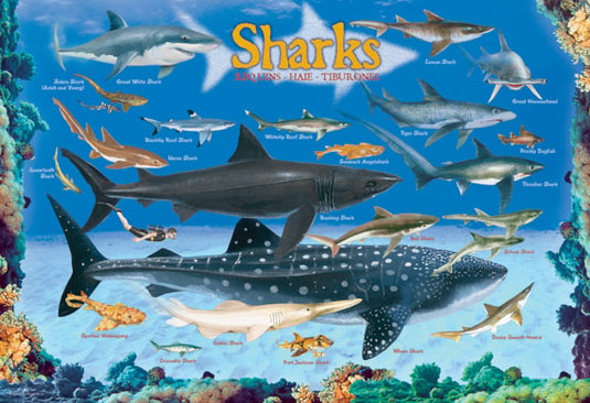 Sharks 100 Piece Jigsaw Puzzle by Eurographics - 2