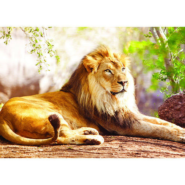 The King of the Savannah 1500 Piece Jigsaw Puzzle by Nathan