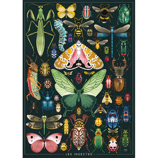 Les Insectes 1000 Piece Jigsaw Puzzle by Nathan