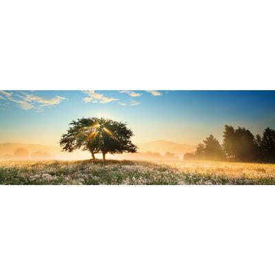 Play of Light 1000 Piece Jigsaw Puzzle by Heye - 2