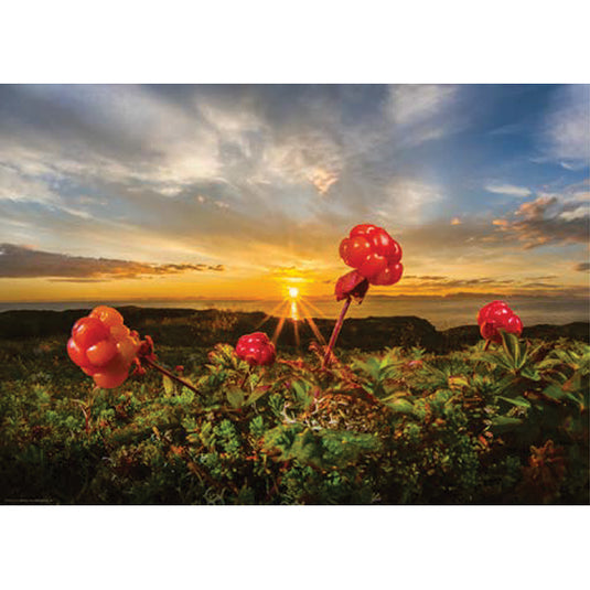 Cloudberries 1000 Piece Jigsaw Puzzle by Heye - 2