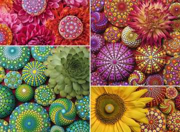 Elspeth McLean: Mandala Blooms 500 Piece Jigsaw Puzzle by Ravensburger