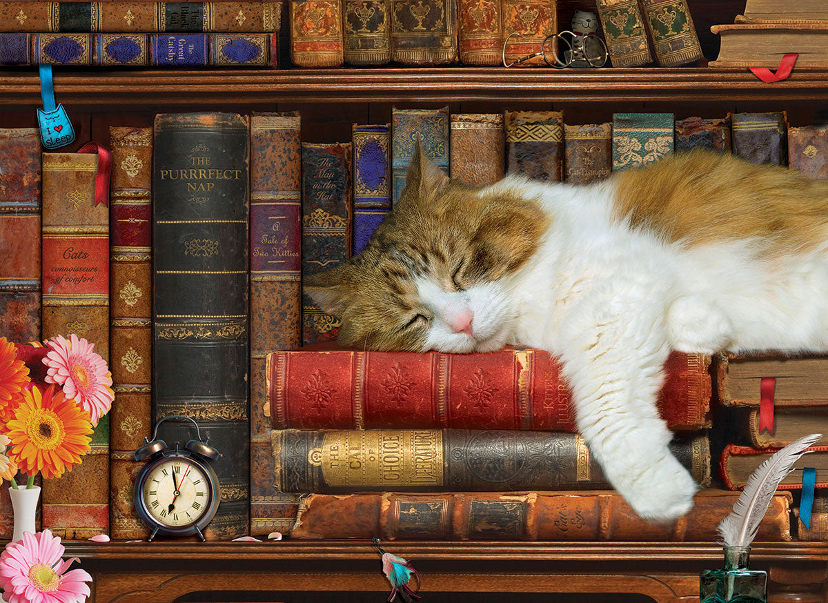The Cat Nap 500 Piece Jigsaw Puzzle by Eurographics