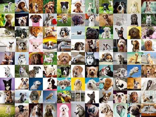 99 Lovable Dogs 750 Piece Jigsaw Puzzle by Ravensburger - 1