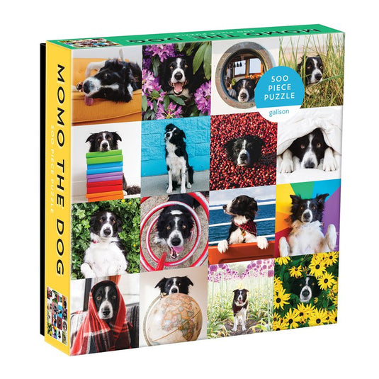 Momo The Dog - 1