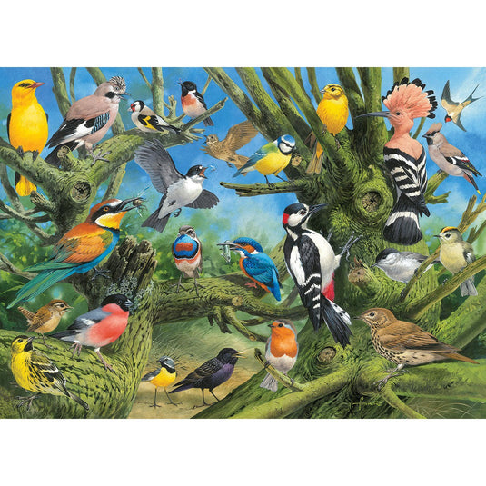 Garden Birds by Francis 1000 Piece Jigsaw Puzzle by Eurographics - 2