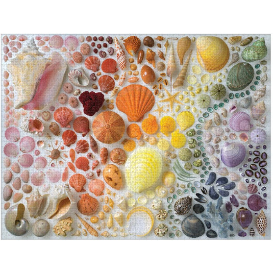 Rainbow Seashells 2000 Piece Puzzle by Galison - 3