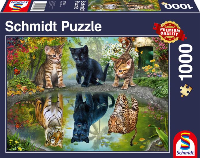 Dream Big! 1000 Piece Jigsaw Puzzle by Schmidt Puzzle