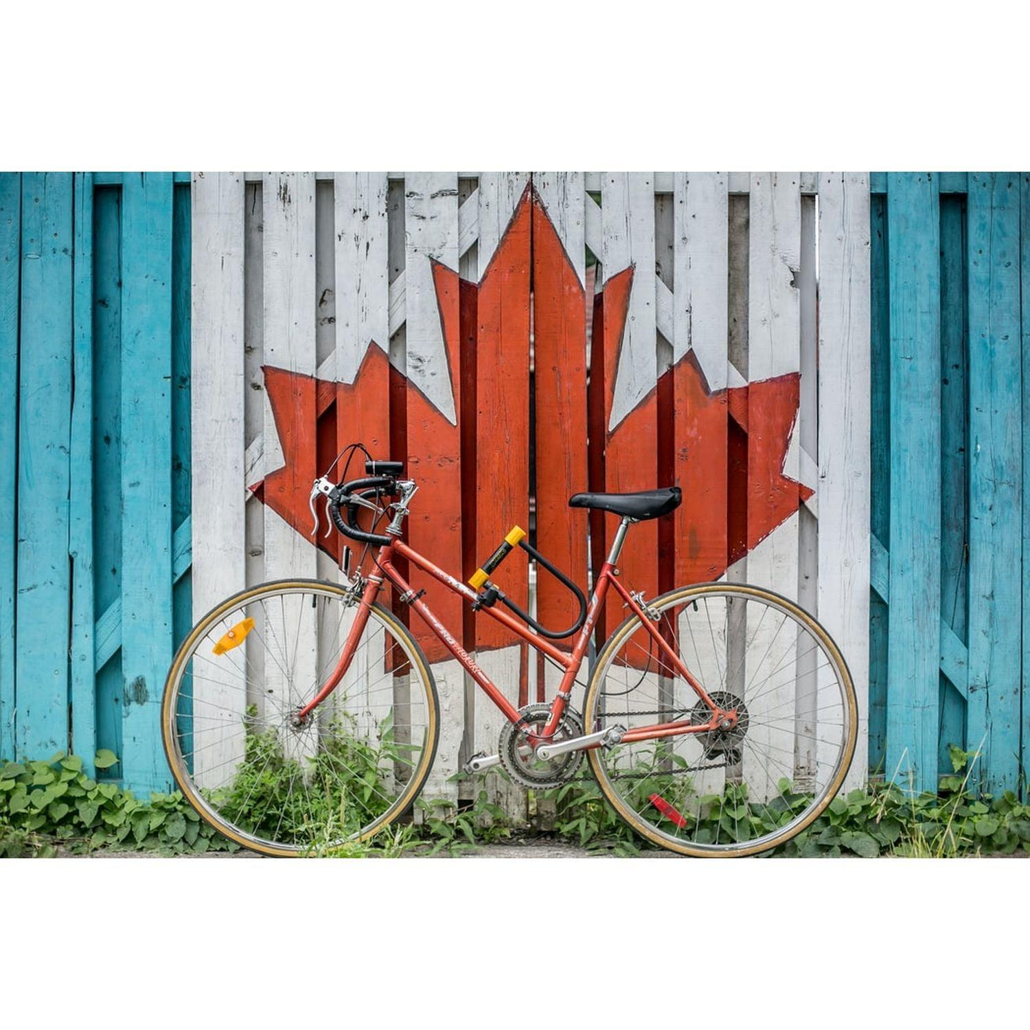 Cycling Canada (Mb) 500 Piece Jigsaw Puzzle by Pbi Puzzle
