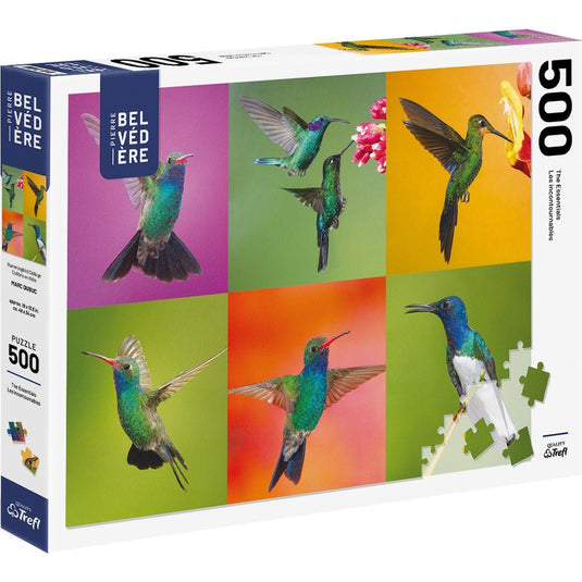 Dubuc - Hummingbird Collage 500 Piece Jigsaw Puzzle by Pbi Puzzle - 1
