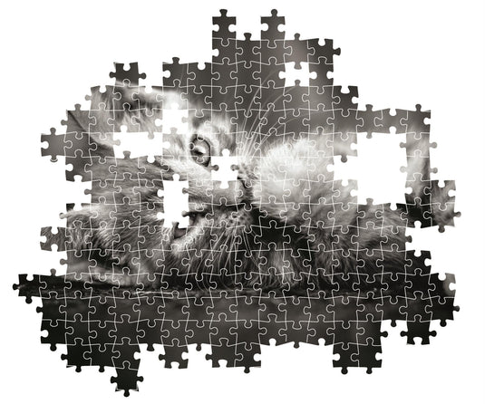 Kitty 1000 Piece Jigsaw Puzzle by Clementoni Puzzles - 3