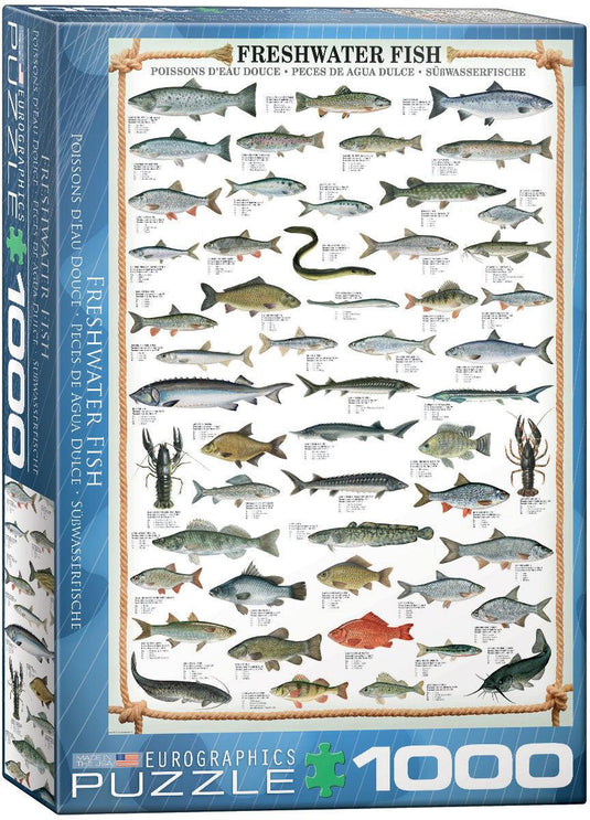 Freshwater Fish 1000 Piece Jigsaw Puzzle by Eurographics - 1
