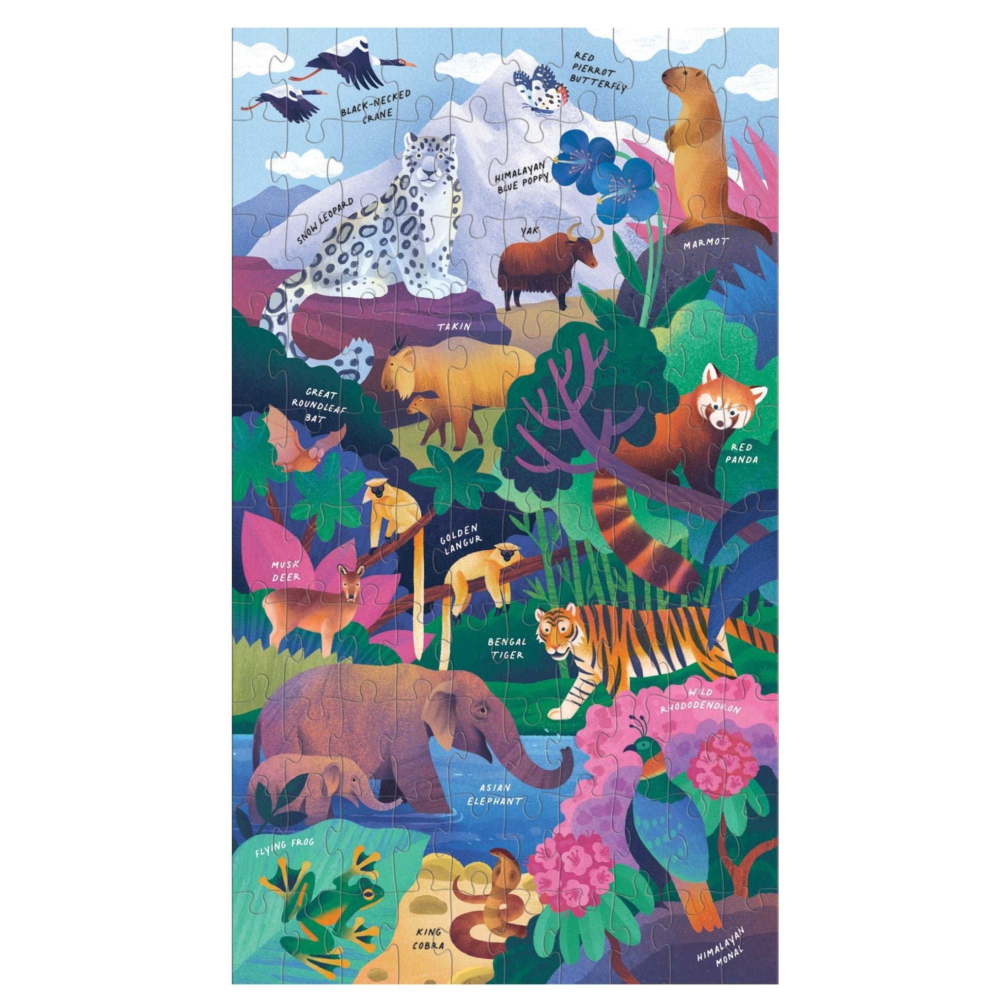 Momentous Mountains Science Puzzle Set by Galison