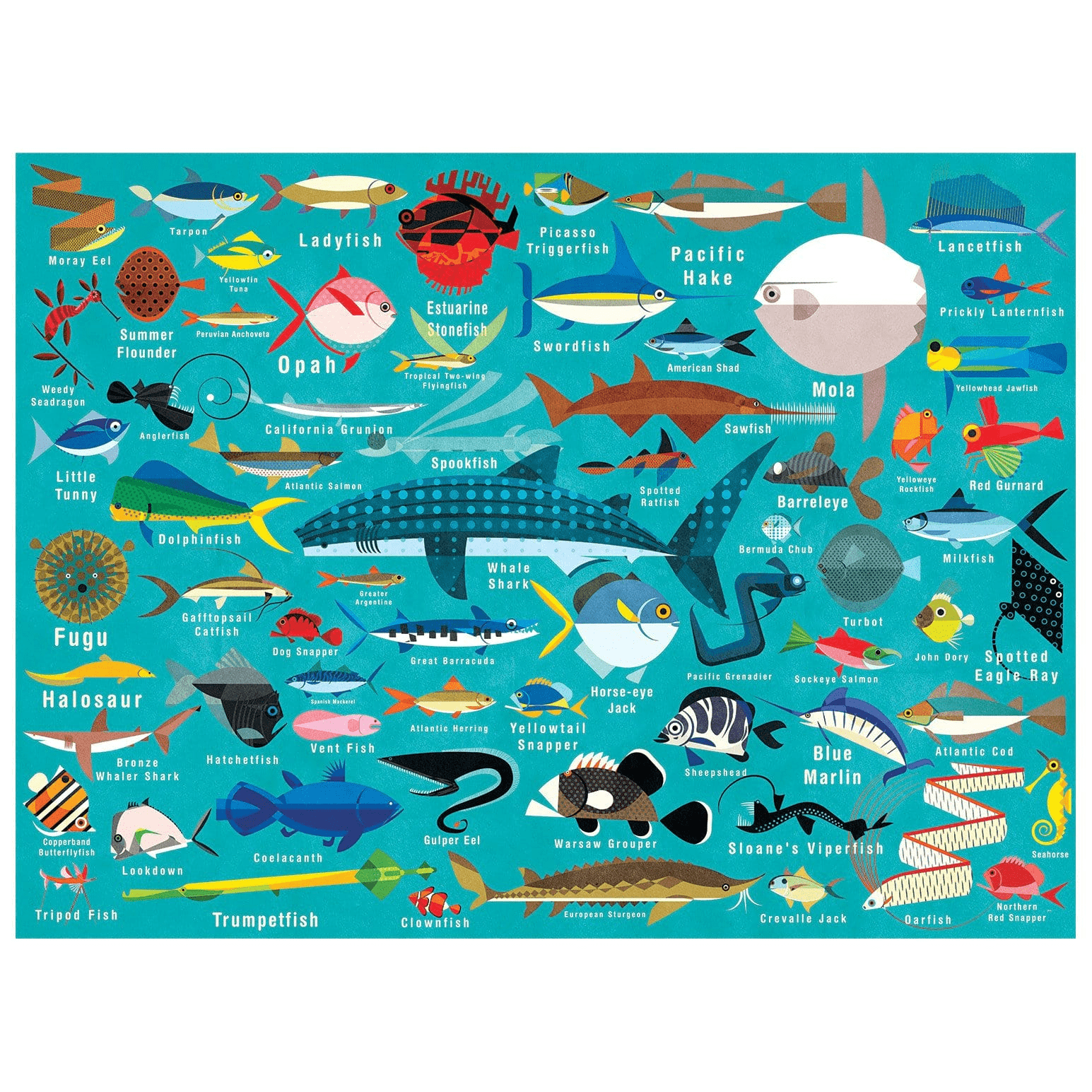 Ocean Life 1000 Piece Family Puzzle by Galison